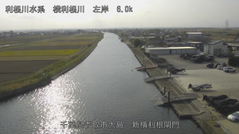 yoko2025120213_image