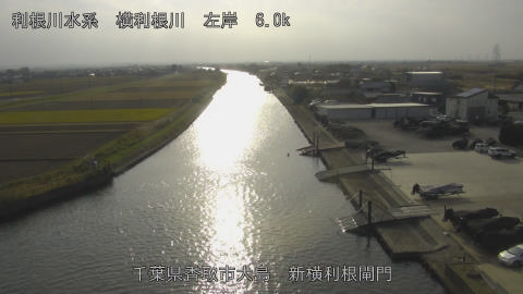 yoko2025120214_image