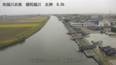 yoko2025120312_image