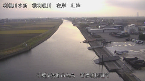 yoko2025120317_image