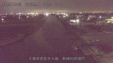 yoko2025120319_image