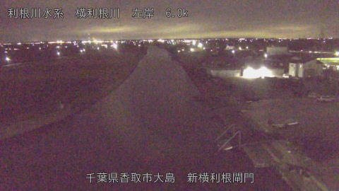 yoko2025120320_image