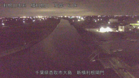 yoko2025120321_image