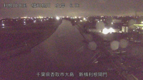 yoko2025120322_image