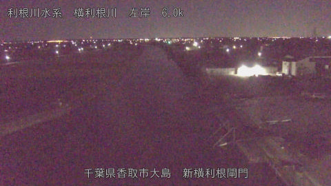 yoko2025120404_image