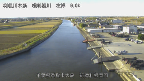 yoko2025120408_image