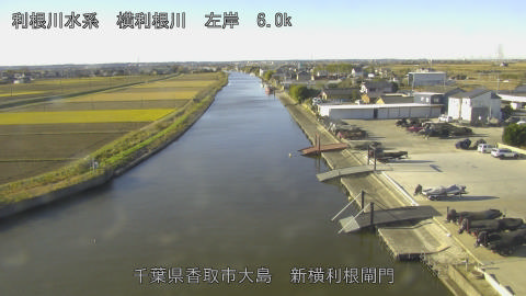 yoko2025120409_image