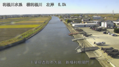 yoko2025120410_image