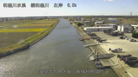 yoko2025120411_image