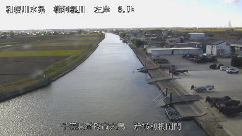 yoko2025120412_image