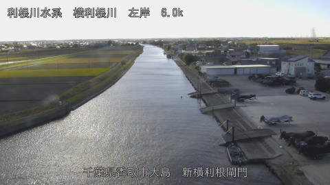 yoko2025120413_image