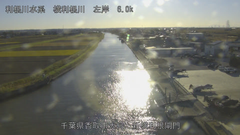 yoko2025120415_image