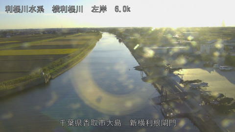 yoko2025120416_image