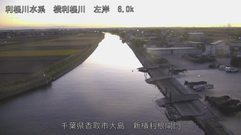 yoko2025120417_image