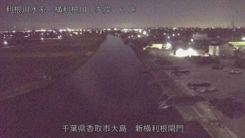 yoko2025120420_image