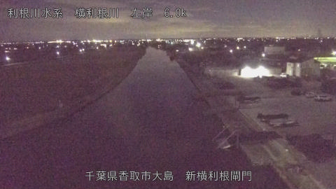 yoko2025120421_image