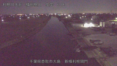 yoko2025120501_image