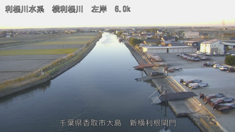 yoko2025120507_image