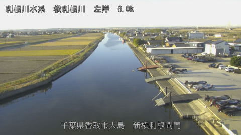 yoko2025120508_image