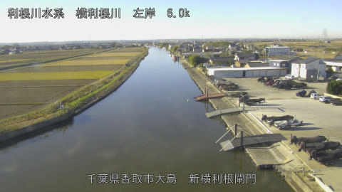 yoko2025120509_image