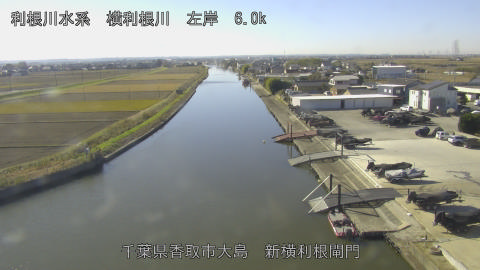 yoko2025120511_image