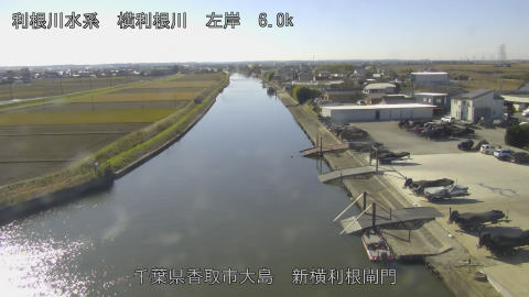 yoko2025120512_image