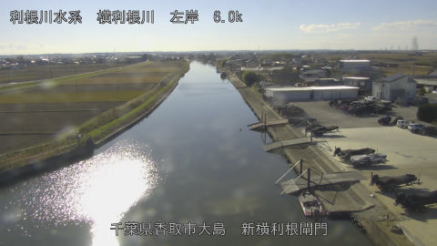 yoko2025120513_image