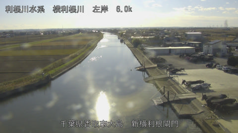 yoko2025120514_image