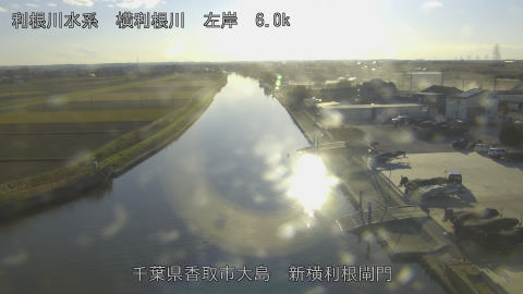 yoko2025120515_image