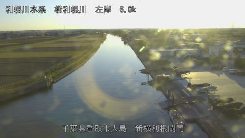 yoko2025120516_image