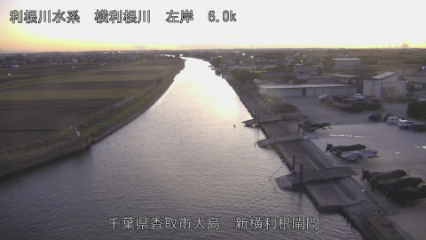 yoko2025120517_image