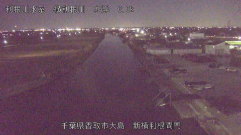 yoko2025120519_image