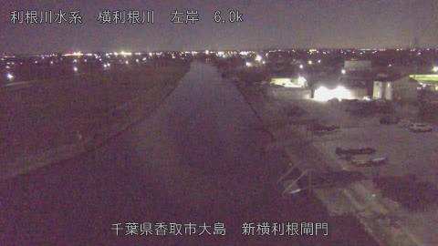 yoko2025120523_image