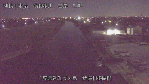 yoko2025120604_image