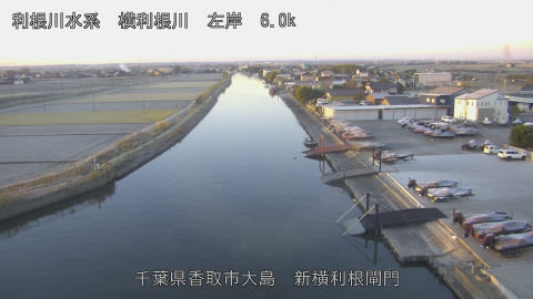 yoko2025120607_image