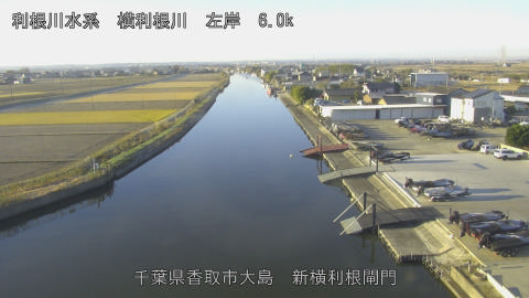 yoko2025120608_image