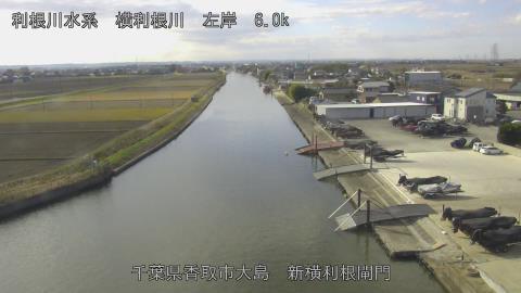 yoko2025120611_image