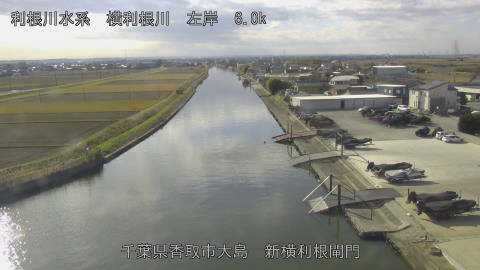 yoko2025120612_image