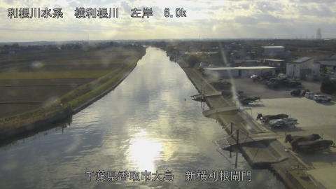 yoko2025120614_image