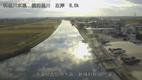 yoko2025120615_image