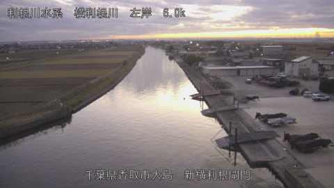 yoko2025120617_image