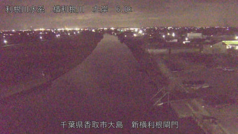 yoko2025120619_image