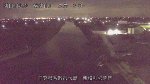 yoko2025120620_image