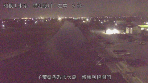 yoko2025120623_image