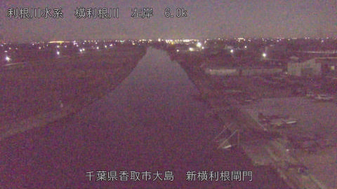 yoko2025120706_image