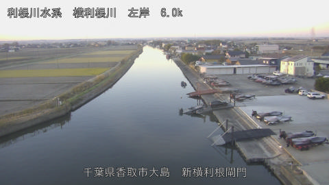 yoko2025120707_image