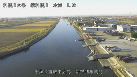 yoko2025120708_image