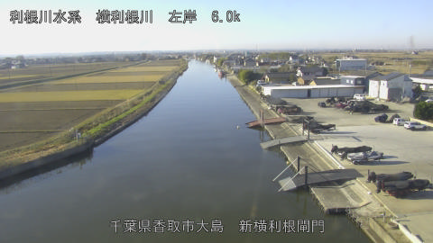 yoko2025120709_image