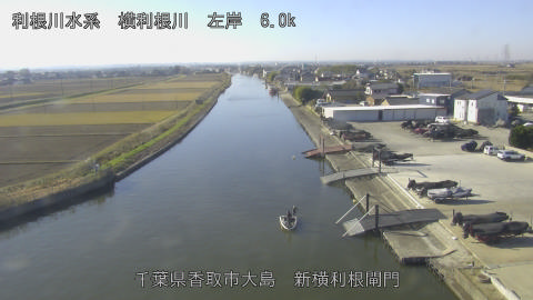 yoko2025120710_image