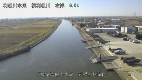 yoko2025120711_image